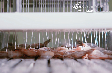 Shrimp INJECTION 360