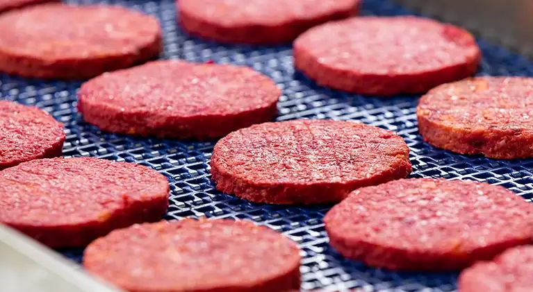 Burger Ifeed Freezer